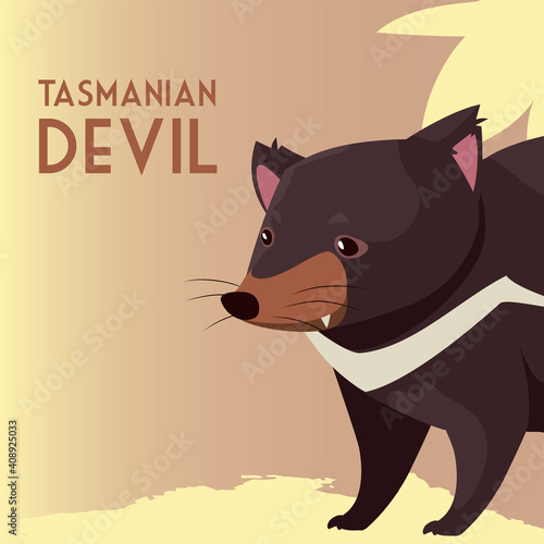 tasmanian devil australian animal wildlife