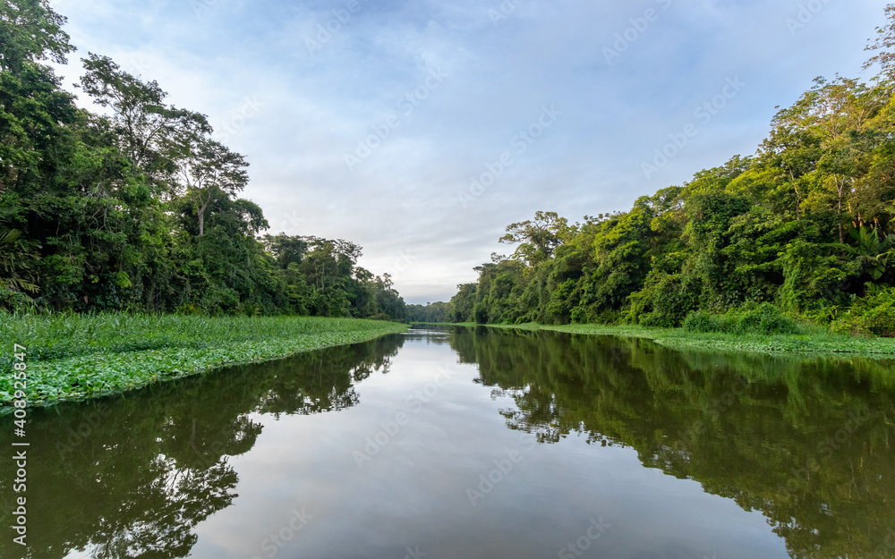 Tortuguero canals