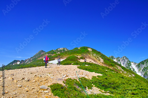 初夏の八方尾根登山道を歩く登山者