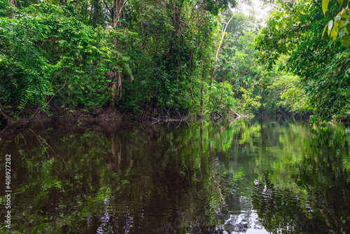 Canoe ride landscape in the Amazon rainforest  Cuyabeno Wildlife Reserve  Ecuador.