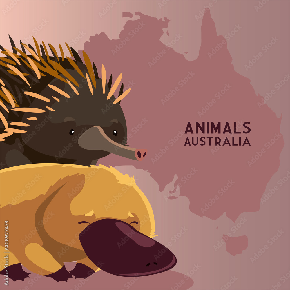 hedgehog and platypus australian continent map animal wildlife Stock ...