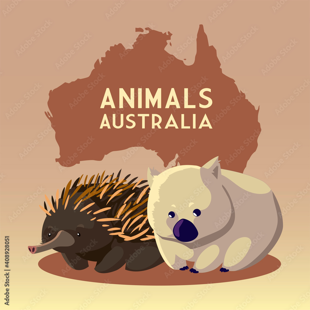 wombat and hedgehog australian continent map animal wildlife Stock ...