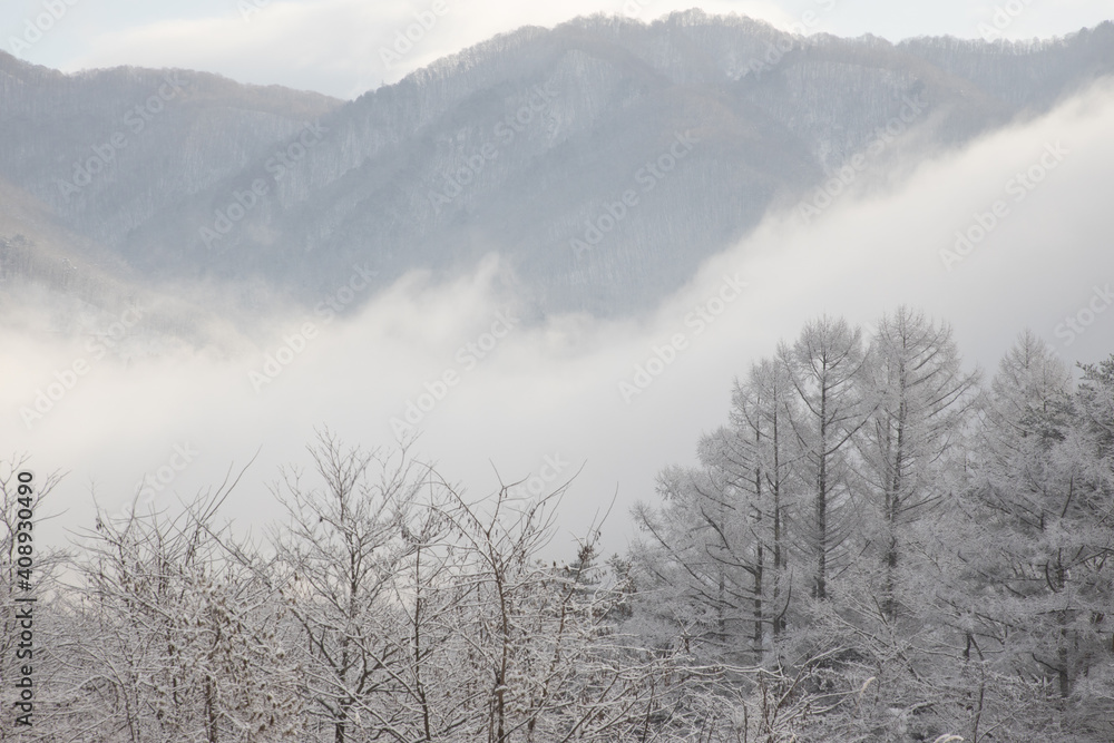 Fototapeta premium Winter scenery, Hakuba Village, Nagano Prefecture, Japan