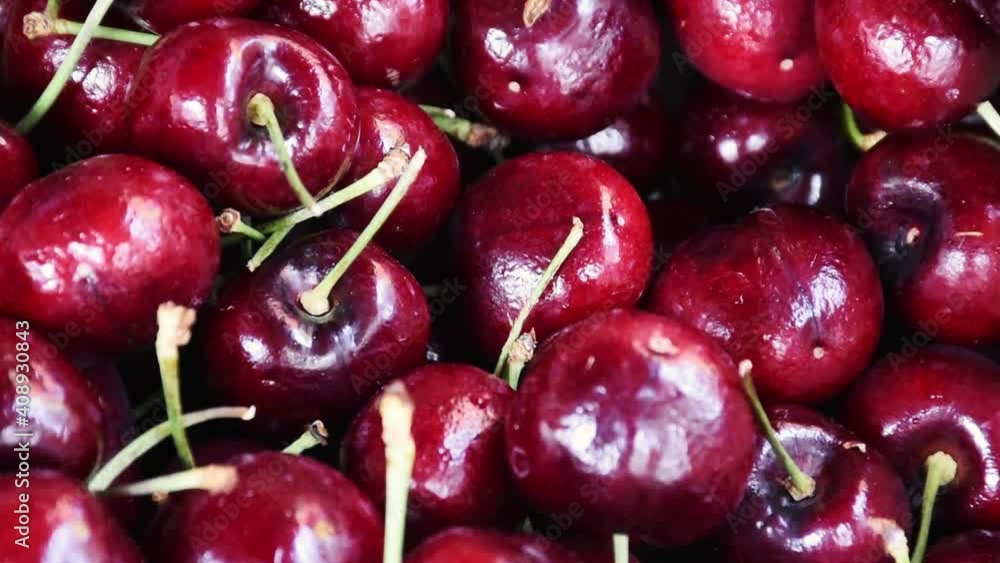 Freshly picked heap of fresh red ripe sweet black cherry berries , close up, high angle view