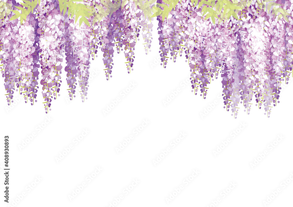 藤棚の花の背景イラスト 藤棚の花の背景イラスト