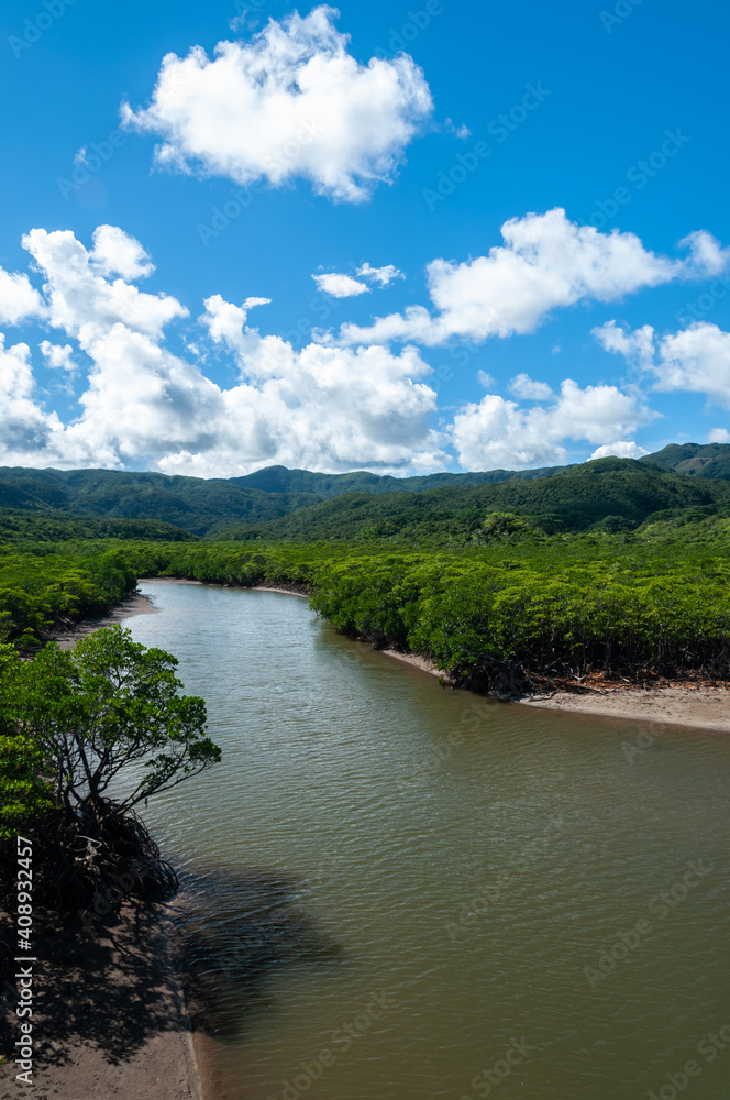 Goyoshi River flowing between a lush mangrove forest, mountains and blue sky in the background, Iriomote Island.