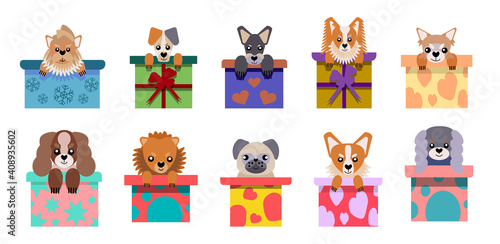 A set of vector icons of portraits of small dogs peeking out of the box, drawn in a flat style. Vector illustration in cartoon style. A toy dog. A puppy as a gift.