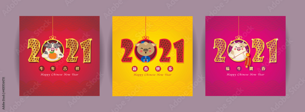 Fototapeta premium 2021 Chinese New Year - year of the OX greeting card set. Golden calligraphic of 2021 with cute cartoon ox holding tangerine and fire cracker. (translation: may you have a great new year)