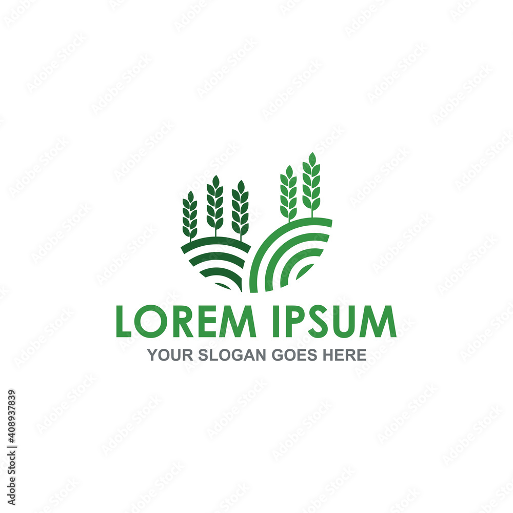 farm wheat vector , agriculture logo