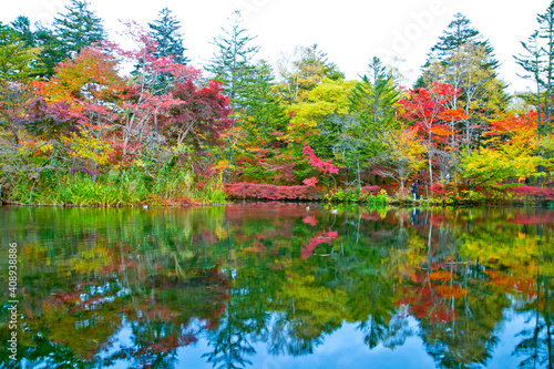 Autumn leaves of kumoba pond in Karuizawa,Japan