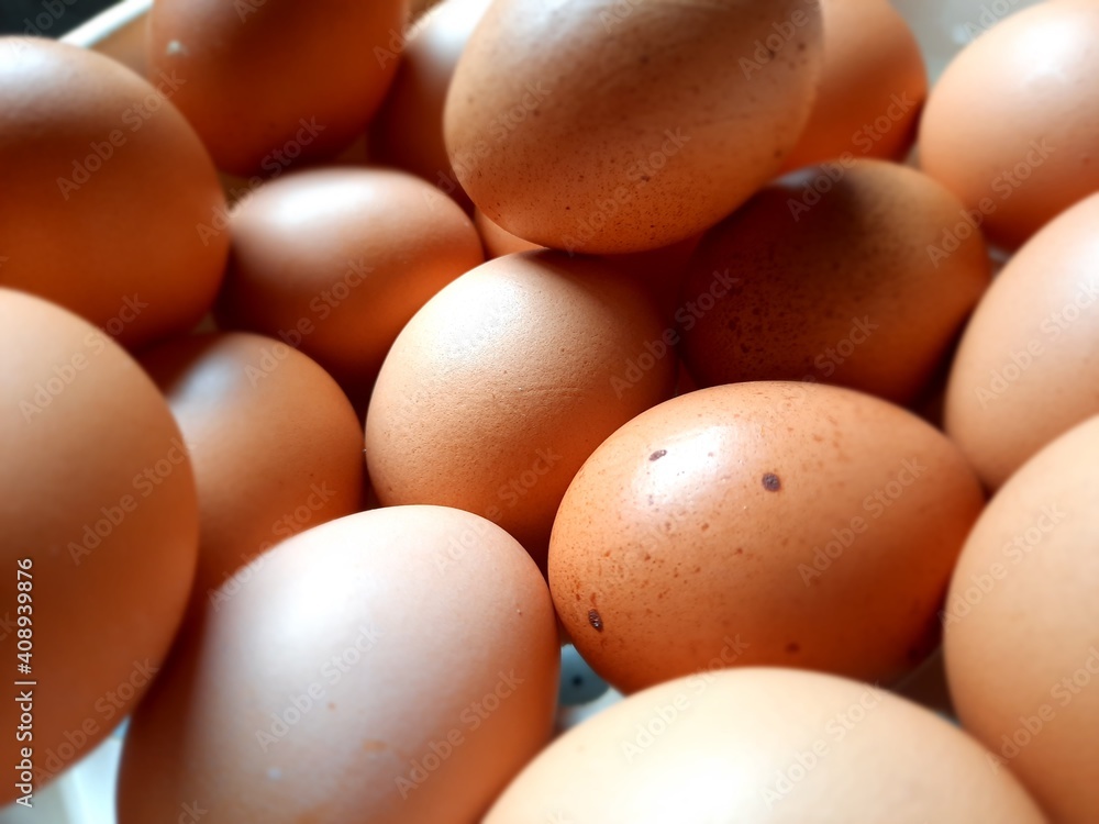 eggs in a carton eggs in a carton