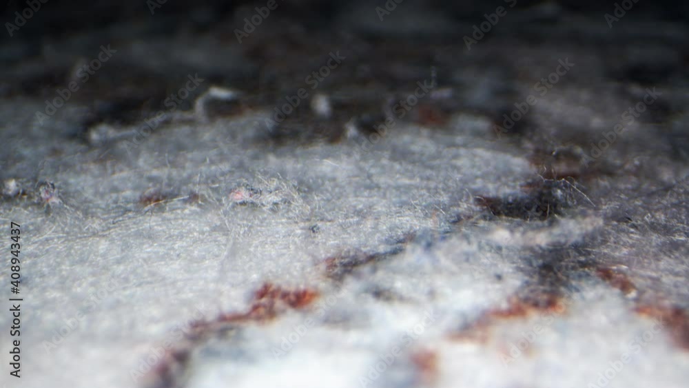 Old Carpet Fabric Macro View Old Carpet Fabric Macro View