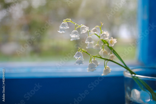 Lily of the valley flowers in a glass on a blue background.
