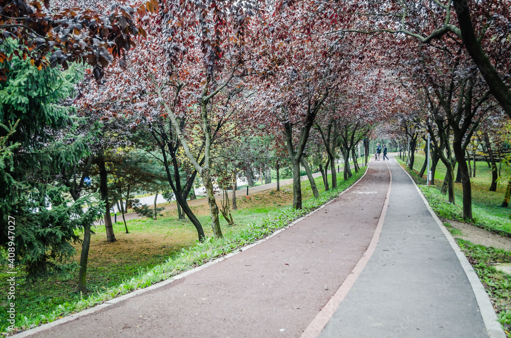 Obraz premium The city's green park of the city of Timisoara in the autumn 