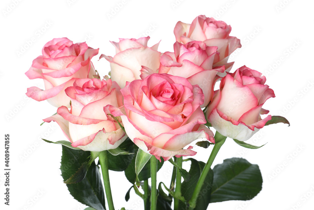 Bouquet of beautiful pink roses on white background, closeup Bouquet of beautiful pink roses on white background, closeup