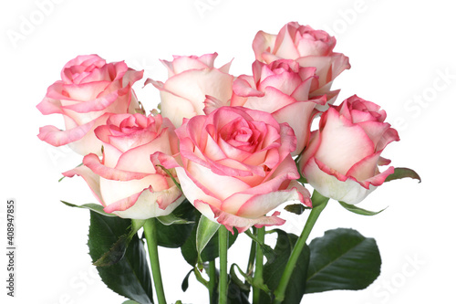 Bouquet of beautiful pink roses on white background  closeup