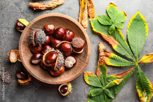 Tableau sur toile Horse chestnuts and leaves on grey table, flat lay