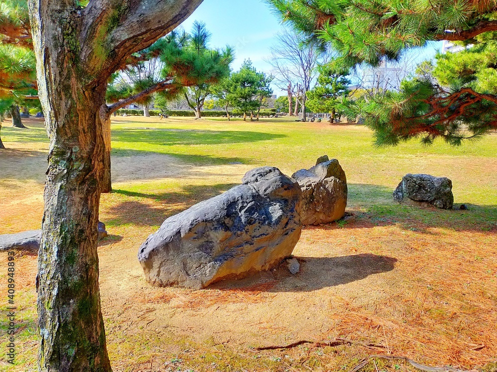 Fototapeta premium よく晴れた日の日本庭園の庭石の風景