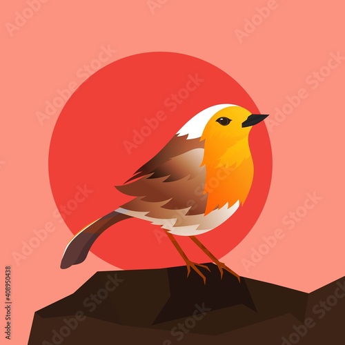 Save North America’s Birds illustration bird on the rock Hand drawn illustration images good for wall decoration, wallpaper and element of design product