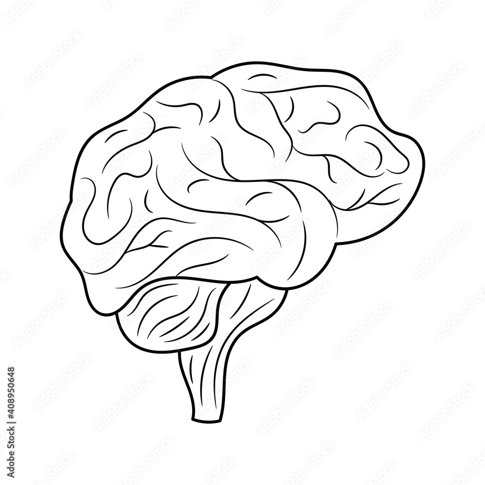 Human Brain Line art black and white vector illustration, isolated linear style pictogram Human Brain Line art black and white vector illustration, isolated linear style pictogram