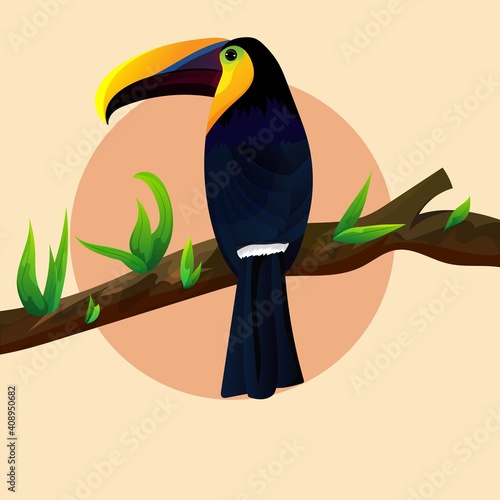 Illustration vector of The toco toucan’s impossibly showy beak constitutes exotic. Hand drawn illustration images good for wall decoration, wallpaper and element of design product