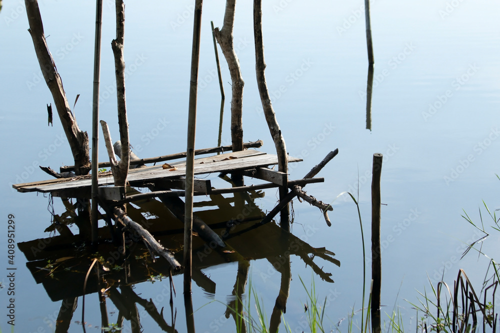 Landscape water in the lake besieged nature
