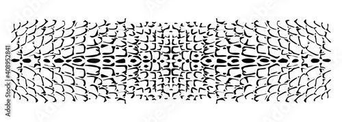 Reptile skin. Animal print background.
