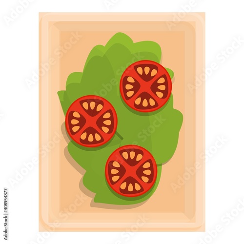 Tomato salad food airline icon. Cartoon of tomato salad food airline vector icon for web design isolated on white background