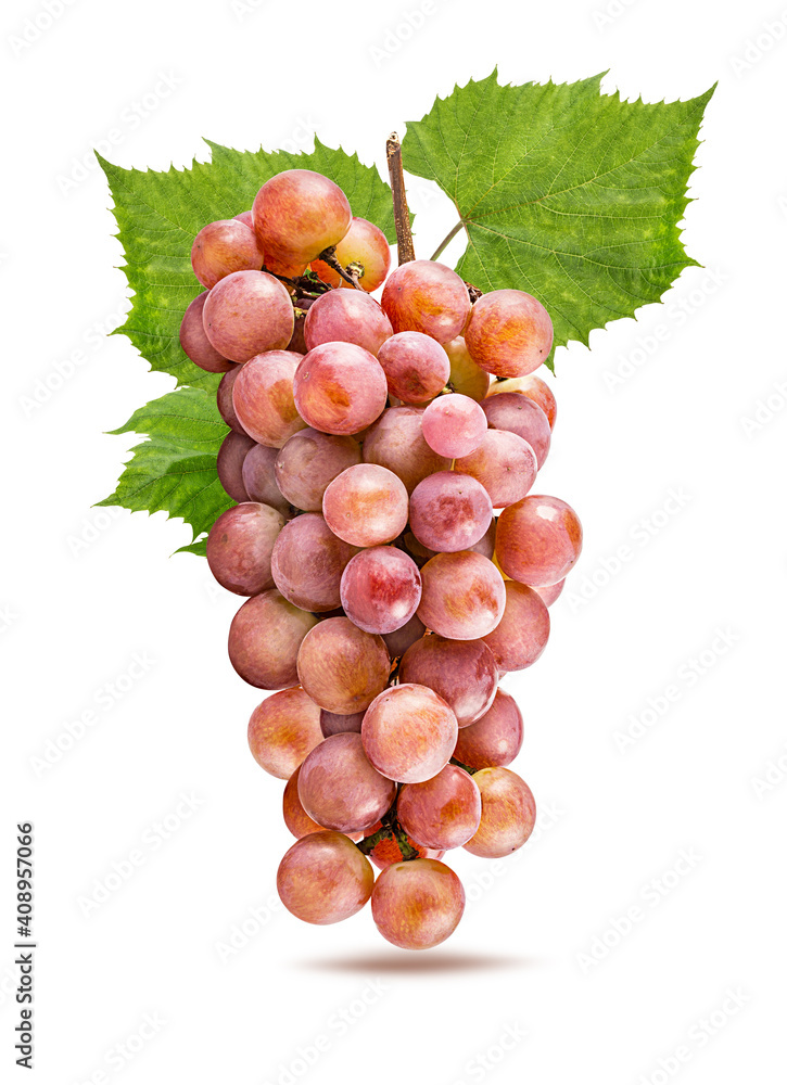 Obraz premium Grape isolated on white background with clipping path