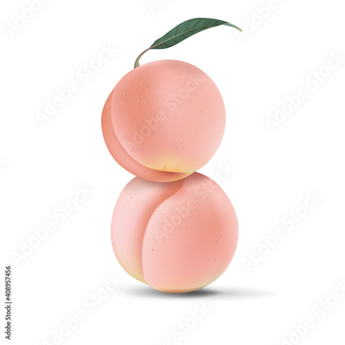 Two fresh peaches with leaves on white