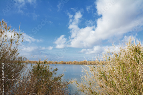 A view of the River Ebre inCatalonia