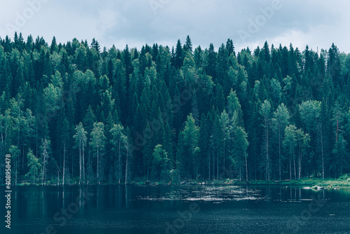 View of wild woods and idyllic lake in calm. North nature, taiga. Priozersk region Korela Russia photo