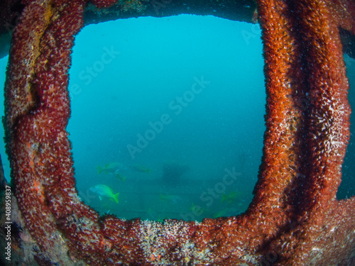 Looking out seascape from inside of a shipwreck (La Paz, Baja California Sur, Mexico) photo