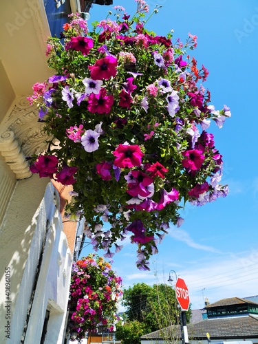 花飾り