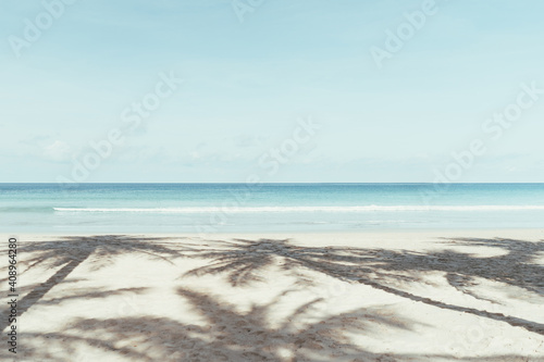 Palm tree at tropical beach on blue sky abstract background. Summer vacation and nature travel adventure concept.