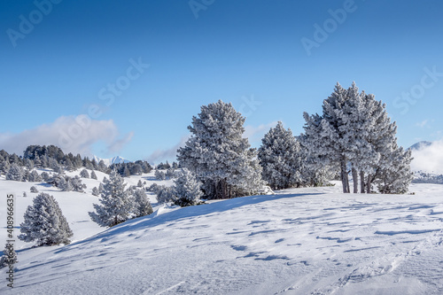 Mountain landscape in winter showing frosted trees, Vercors, France © serge