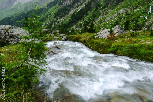 rushing mountain stream with green trees and plants