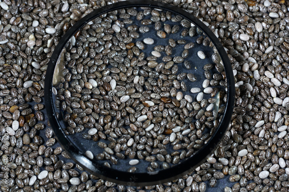 Chia seed Chia seed