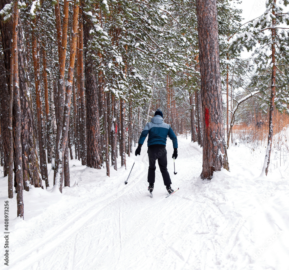 A man is skiing in a winter park. Winter sport. Ski track in the forest. Active people in nature. Copy space. Selective focus.