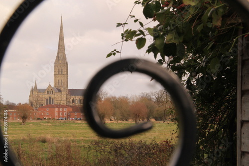 Salisbury cathedral from the meadow fence decoration in the front