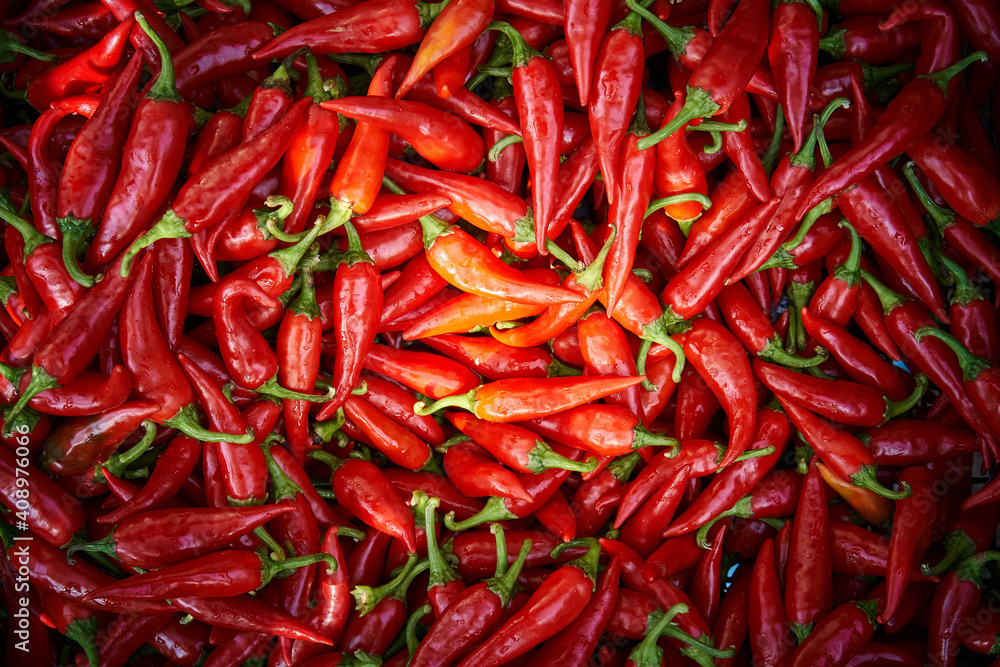Large pile of spicy red hot chili peppers with green peduncles at bright light as colorful background close view from above