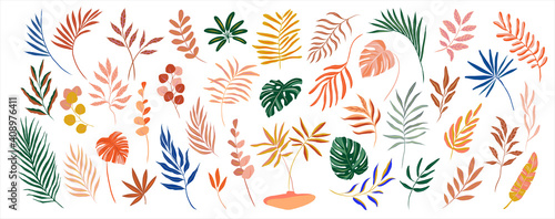 set of hand drawn modern tropical exotic leaves and branches illustration isolated on white background
