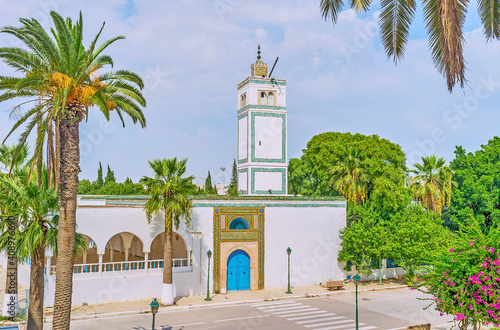 The white mosque in Tunis, Tunisia photo