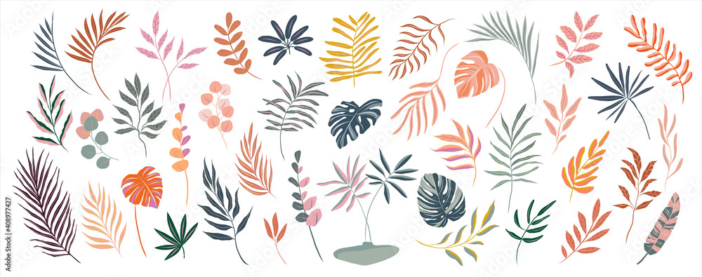set of hand drawn modern tropical exotic leaves and branches illustration isolated on white background set of hand drawn modern tropical exotic leaves and branches illustration isolated on white background