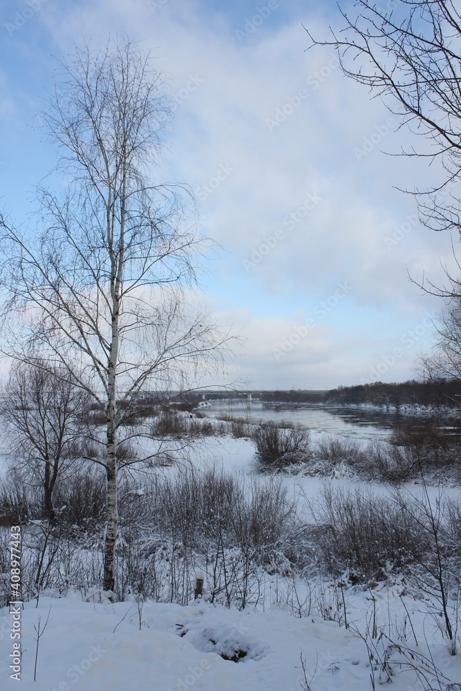 Fototapeta premium landscape with trees and snow