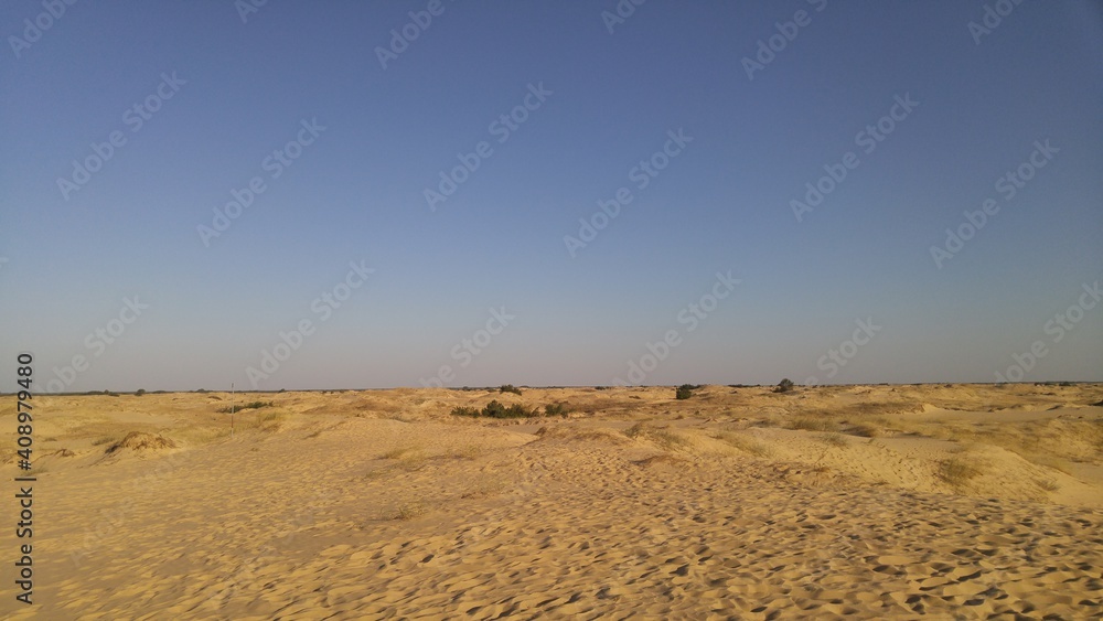 sand dunes in the desert