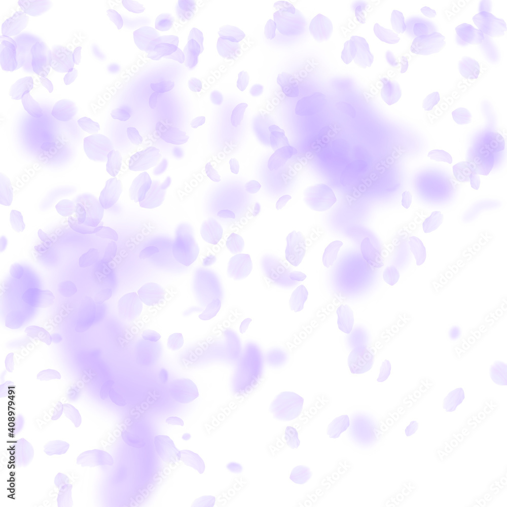 Naklejka premium Violet flower petals falling down. Precious romant