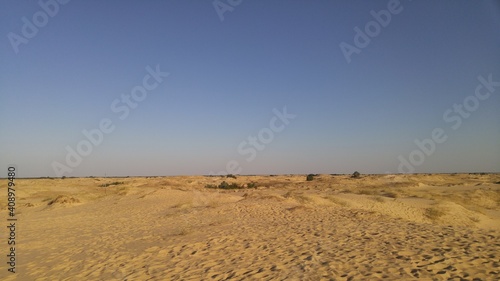 sand dunes in the desert