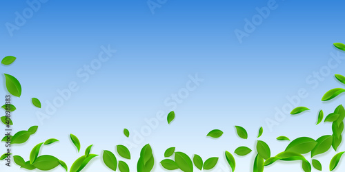 Falling green leaves. Fresh tea chaotic leaves fly