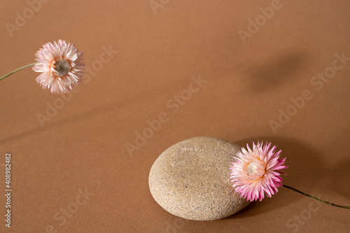 Dry pink flower and stone with dark shadow on a light brown background. Trend, minimal concept with copyspace